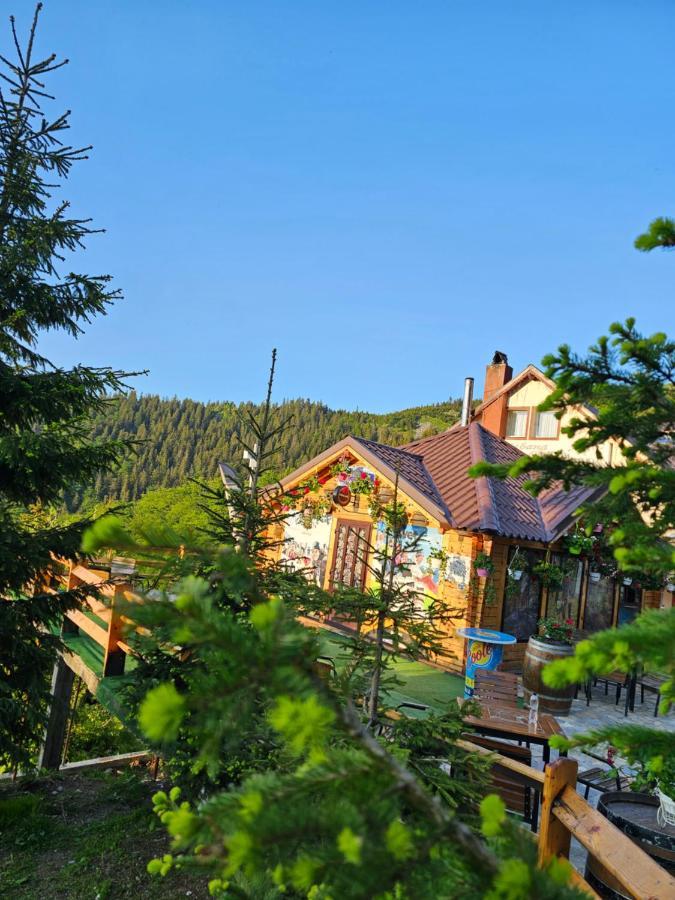 Cabana Edelweiss Lupény Kültér fotó